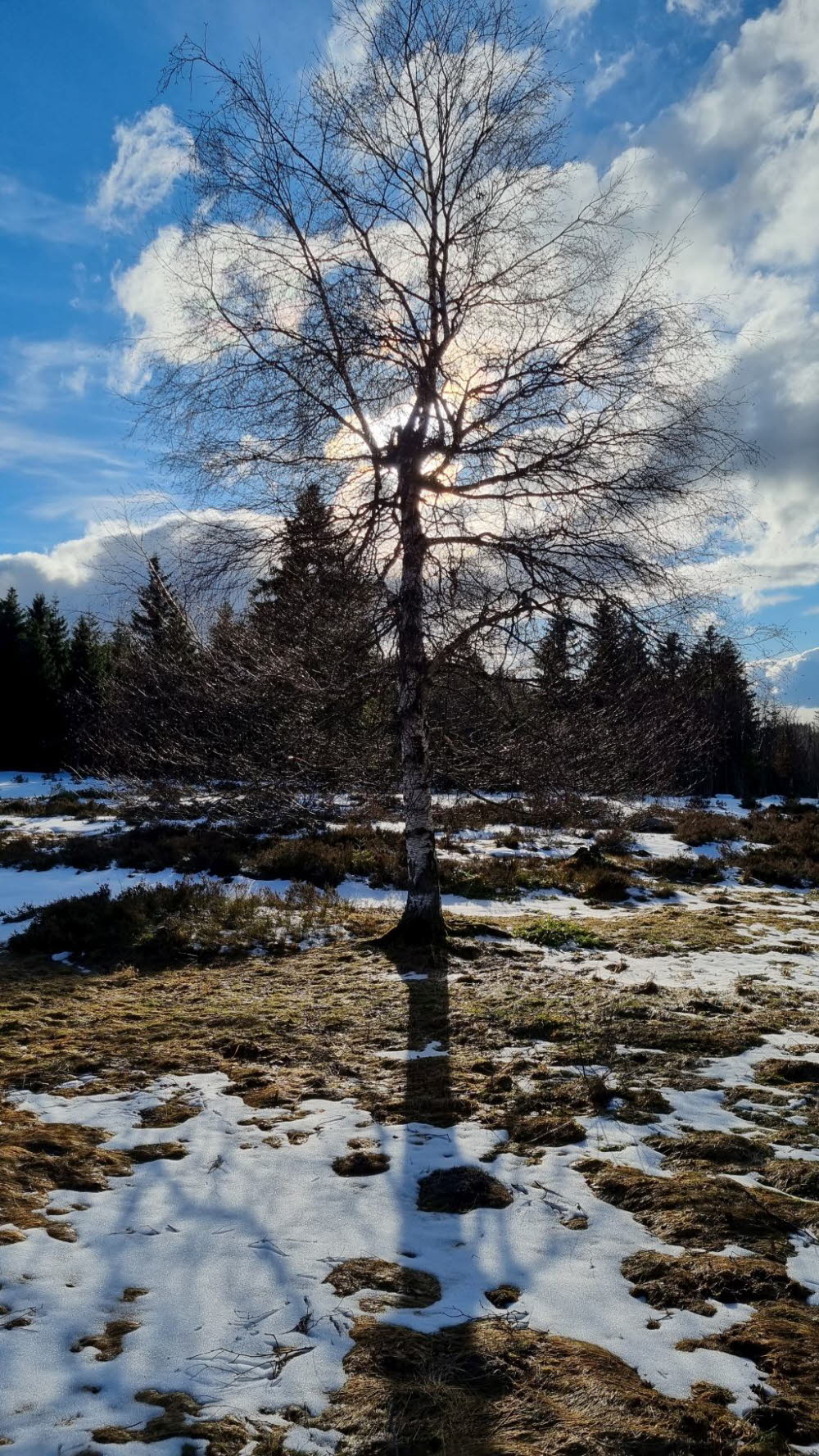 20220223_161120