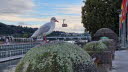 20220927_100700 - Kopie