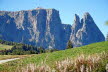 DSC00710