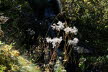 DSC00868