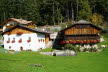 DSC01000