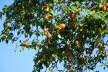 DSC01002