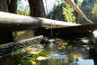 DSC01015