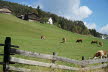 DSC01017