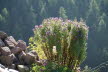 DSC01025