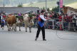 DSC01071