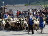 DSC01161