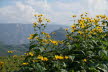 DSC01244