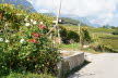 DSC01246