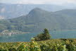 DSC01251