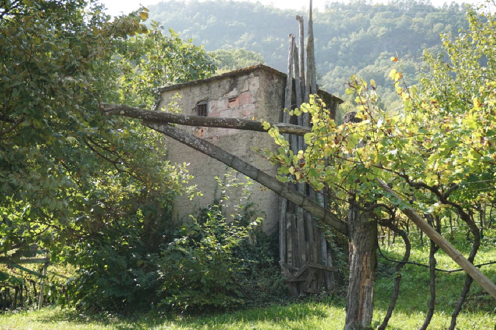 DSC01258