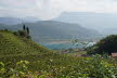 DSC01259