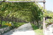 DSC01260