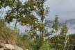 DSC01337