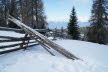 DSC01610