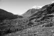 DSC01748