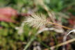 DSC03265
