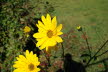DSC03275