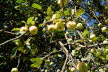 DSC03293