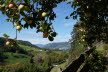 DSC03294
