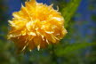 DSC03296