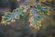 DSC03308