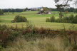 DSC03311