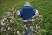 DSC03330