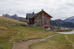 DSC03342