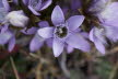 DSC03360