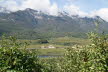 DSC03383