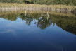 DSC03398