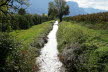 DSC03401
