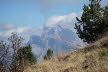 DSC03496