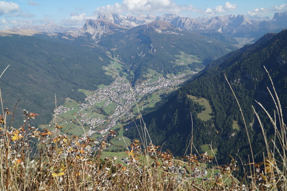 DSC03520