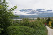 DSC03529