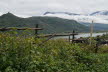 DSC03531