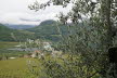 DSC03540
