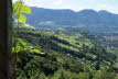 DSC03698