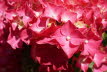 DSC03702