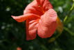 DSC03719