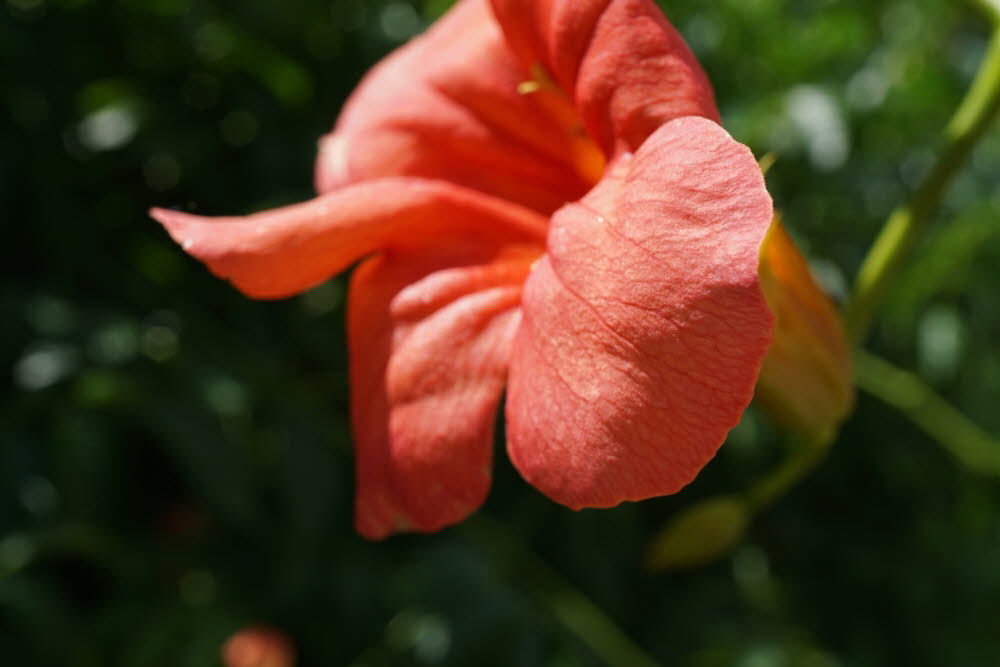 DSC03719