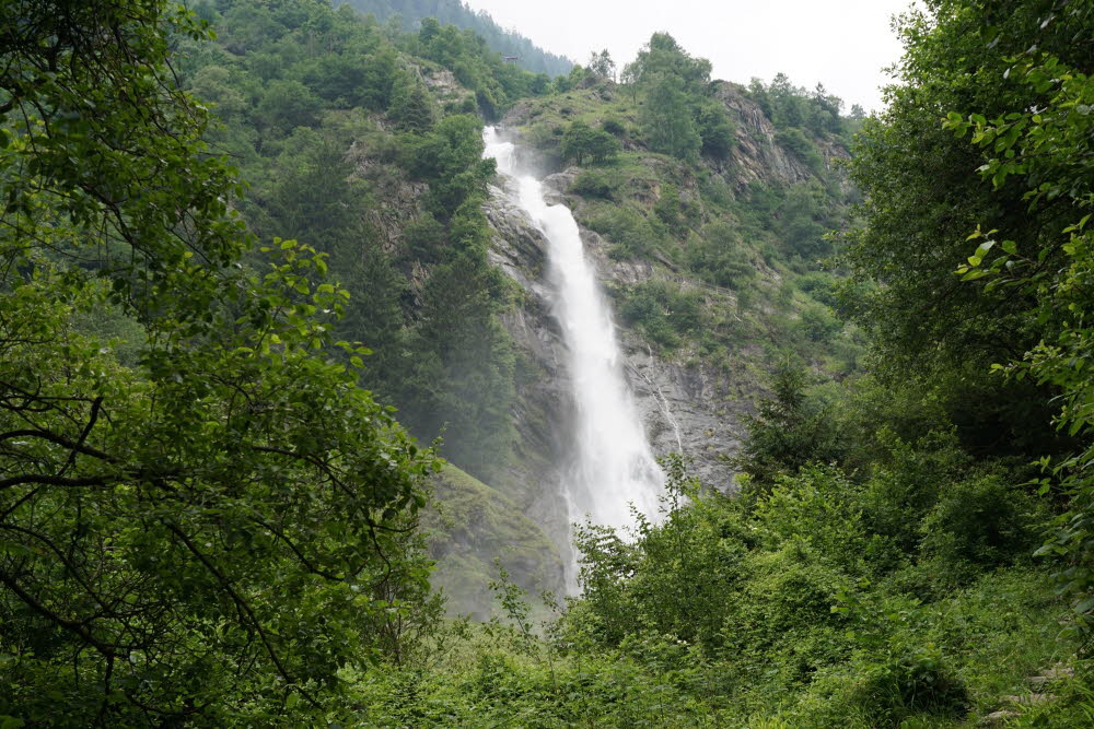 DSC03788