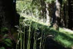 DSC03800