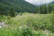 DSC03860