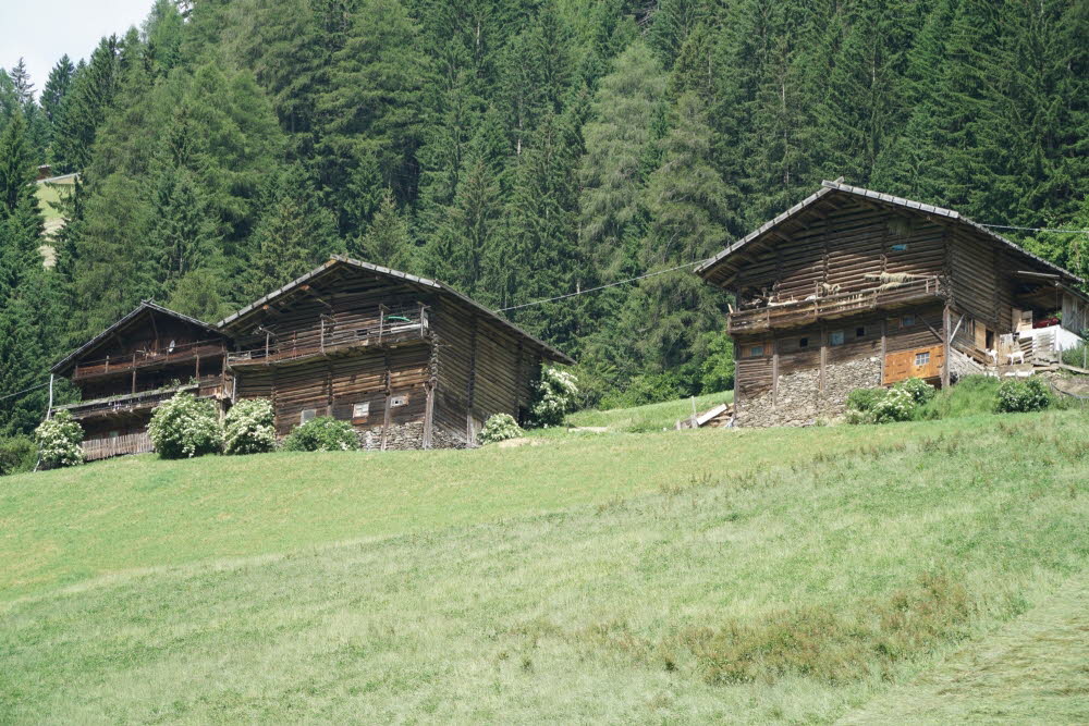 DSC03885