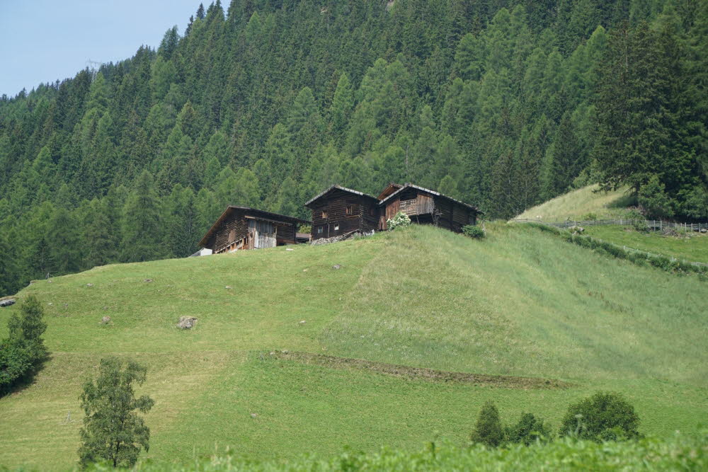 DSC03887