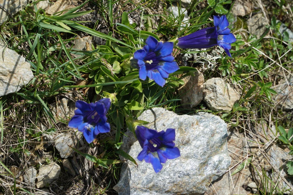 DSC03958