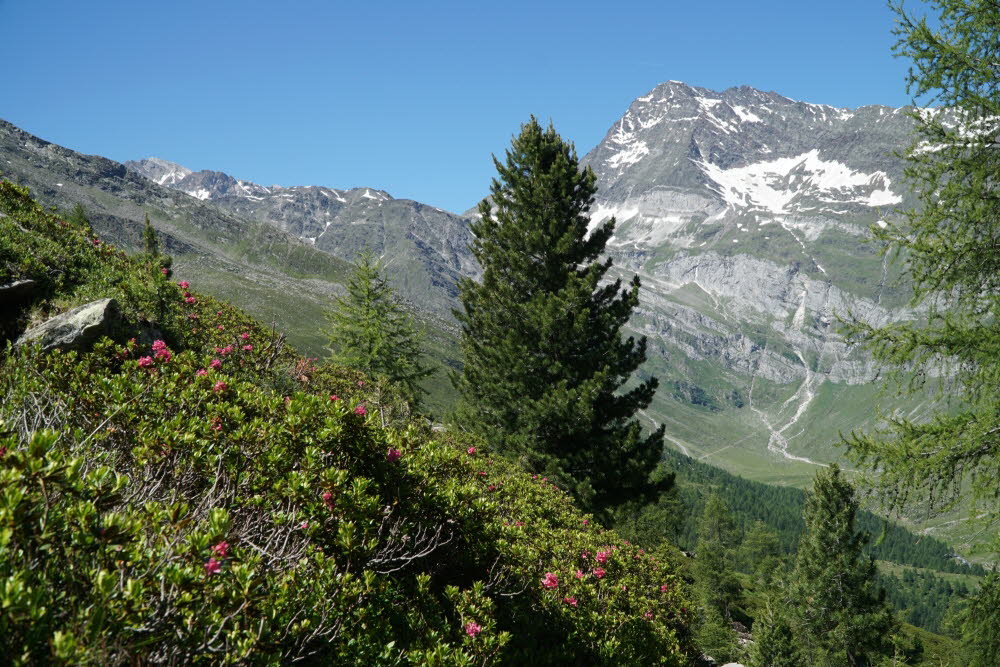 DSC03978