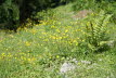 DSC04010